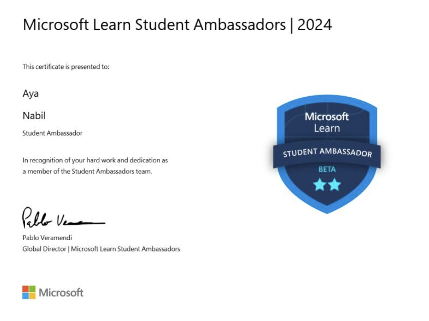 Microsoft Ambassador